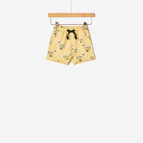 ΣΟΡΤΣ CITRINE SEAGULLS 41071217004 YELL-OH!