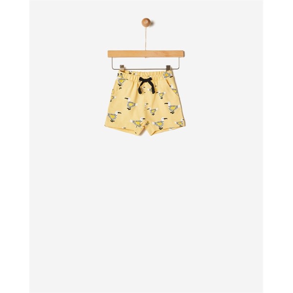 ΣΟΡΤΣ CITRINE SEAGULLS 41071217004 YELL-OH!