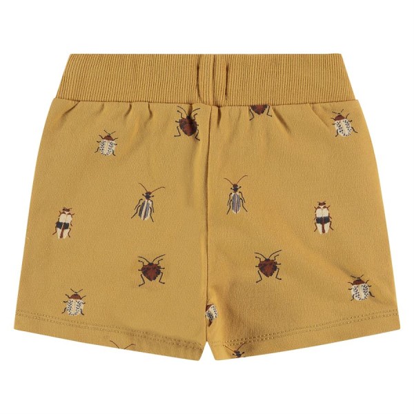 ΒΕΡΜΟΥΔΑ ΚΙΤΡΙΝΙ ΑΓΟΡΙΟΥ ΒΑΒΥFACE BBE22207233