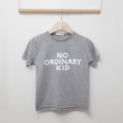 Μπλούζα γρι αγόρι two in a castle